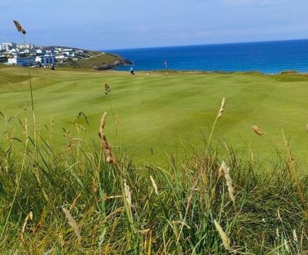 MM13 grass seed mixture for golf tees, fairways and roughs