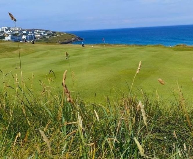 MM13 grass seed mixture for golf tees, fairways and roughs