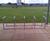 Sheffield Toastrack Cycle Stand 9