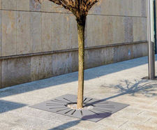 Sunny Tree Grille