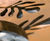 Flora Tree Grille 4