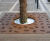 Flora Tree Grille 0