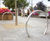 Circle Cycle Stand 2