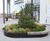 Rough&Ready Free Form Tree Isles 8