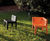 Lua Chair 4