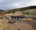 Vegetated retaining walls for bridges at Glentress Forest MBT
