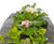 Flex MSE® - vegetated retaining wall system 6