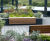 Silvadec - composite wood decking boards 1
