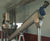 SpiraSnail® grit dewatering system 7