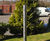 Stainless Steel Bollard with Sep Cap 1