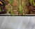Bespoke hot dip galvanised steel planters 2