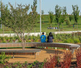 Cliffhanger Curved & Circular Benches - on this page