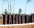 Lettere Architectural Lettering 2