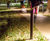 Lo-Glo Path Light 2