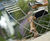 Parc Centre Steel Dining Chair 2