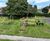 New trim trail in school playground enhances pupils' break times 1