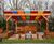 Timber pergola with coloured polycarbonate roof 6