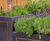 Bespoke stainless steel planters and benching for Berkeley Square 4
