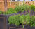 Bespoke stainless steel planters and benching for Berkeley Square 1