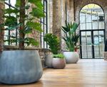 Divona fibreglass range of planters and vases