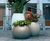 Cityscape Skyline - spherical fibreglass outdoor planters 7