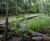 POLYplank Boards provides solution for Colden Common Boardwalk 3