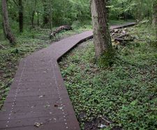 POLYplank Boards provides solution for Colden Common Boardwalk