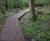 POLYplank Boards provides solution for Colden Common Boardwalk 0