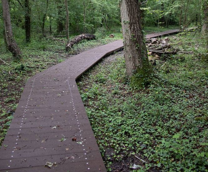 POLYplank Boards provides solution for Colden Common Boardwalk