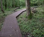 POLYplank Boards provides solution for Colden Common Boardwalk
