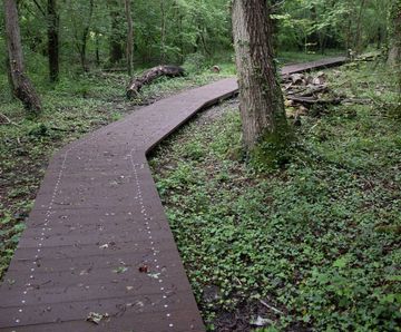 POLYplank Boards provides solution for Colden Common Boardwalk