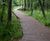 POLYplank Boards provides solution for Colden Common Boardwalk 1