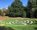 Soil stabilisation and wildflower turf aids flood alleviation