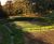 Soil stabilisation and wildflower turf aids flood alleviation 2