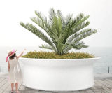 Mago Urban Hat - round concrete outdoor planter - on this page