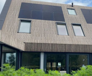 Sustainably-sourced bamboo cladding