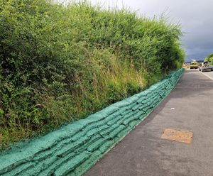Greenlok™ - vegetated wall system
