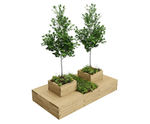 Drumbeg large Scots pine timber tree planter and outdoor seating