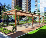Sheldon Timber Pergola - SPG329 - on this page
