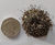 Enviromat - natural feed for sedum green roofs 4