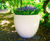 Drawbell GRP Planter 1