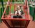 Wheelchair swing with safety barrier and gate (7000181) 1