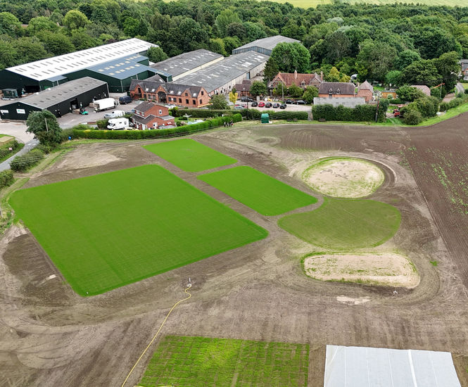 DLF announce new Showcase facility