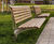 Fuchsia Bench with backrest  0