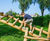 Gerda Play Unit 3