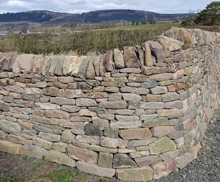 Reclaimed Walling