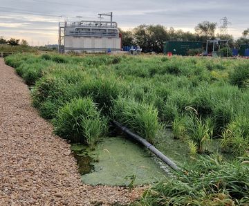 Reedbeds surpass increased CSO/stormwater standards at Sleaford