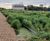 Reedbeds surpass increased CSO/stormwater standards at Sleaford 0