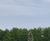 Reedbeds surpass increased CSO/stormwater standards at Sleaford 2