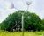 Dandelion Duo nature-themed stainless steel kinetic sculpture 0